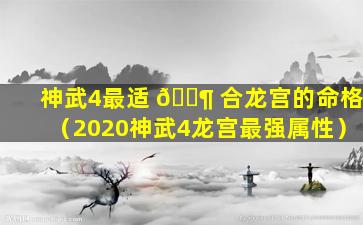 神武4最适 🐶 合龙宫的命格（2020神武4龙宫最强属性）